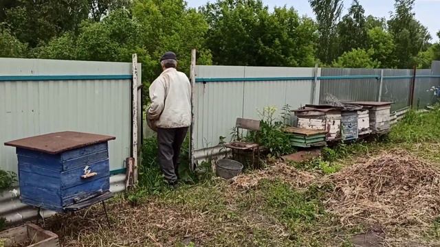 #3. Пасека. Часть первая. Apiary. Part one. смотреть онлайн