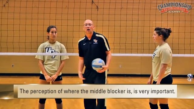 Volleyball Setter Training: Reading and Decision Making by Todd Dagenais смотреть онлайн