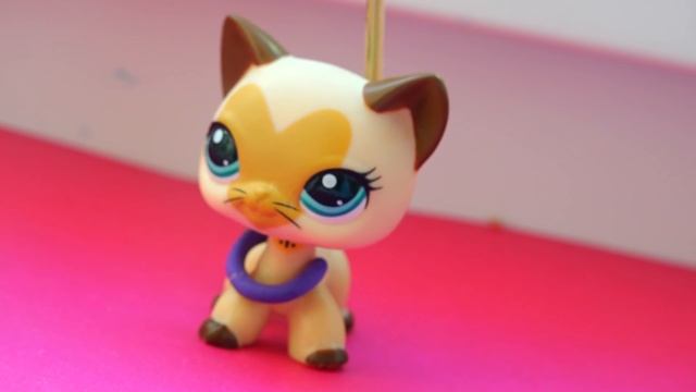 Секреты видеомастерства от Кити LPS смотреть онлайн