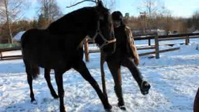КСК "Энергия" приглашает на занятия! смотреть онлайн