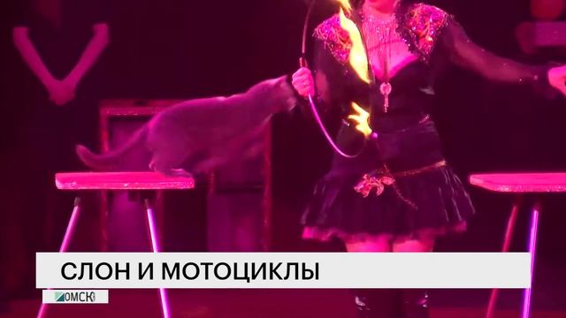 Омский Цирк сюжет смотреть онлайн