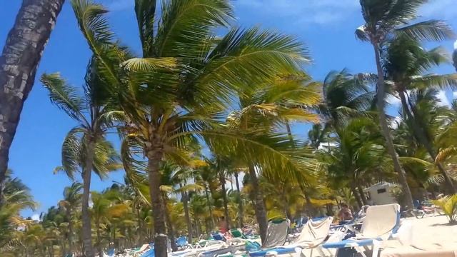 Playa Arena Gorda, Riu Bambú, Punta Cana, Republica Dominicana. Abril 2014 смотреть онлайн