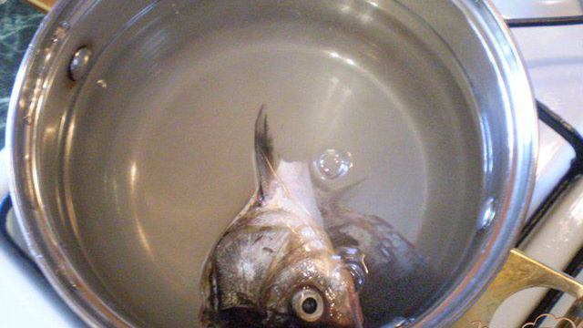 1000 и 1 рецепт