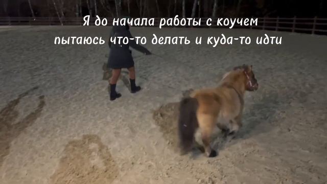 ТРАНСФОРМАЦИЯ ПОСЛЕ ХОРСКОУЧИНГА #кони #конныйклуб #коуч #коучинг ##менторство #психическоездоровь смотреть онлайн