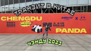 Пересадка в КИТАЙСКОМ ЧЭНДУ  Парк с ПАНДАМИ | МЕТРО | ЛАЙФХАКИ