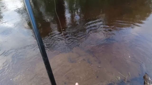 Поход в Тайгу На 4 Дня. Рыбалка на Хариуса 2023. Добрались до реки, поймали первых хариусов. смотреть онлайн