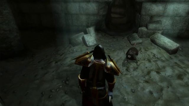 Elder Scrolls Oblivion World of Warcraft Mod PART 1 смотреть онлайн
