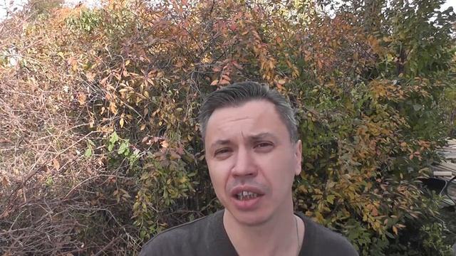 АЛЬФА БЕТТА ГАММА ОМЕГА СИГМА ЭПСИЛОН ДЕЛЬТА смотреть онлайн