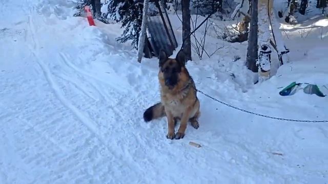 Горячий ключ 2022 смотреть онлайн