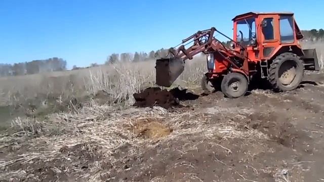 Поездка за перегноем для огуречной гряды. смотреть онлайн