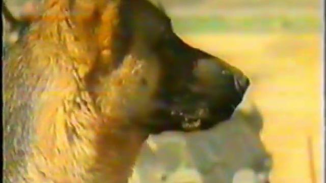 Военным врачам. смотреть онлайн