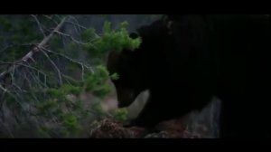 Россия родина моя..