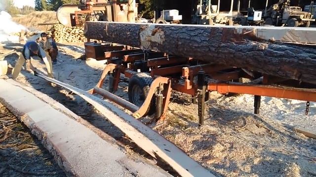 Wood-Mizer LT-40 D-33 Mobile Пилим СОСНУ 58 см. смотреть онлайн
