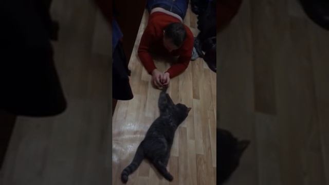 Пьяный муж пришёл домой (хозяин и кот) смотреть онлайн