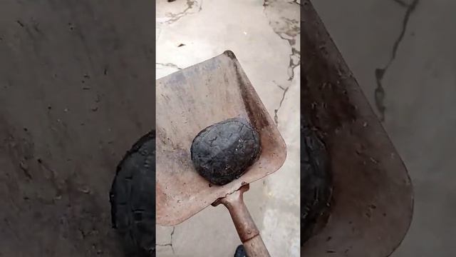 Черепашка Ниндзя#двор#совок#болото#бузова# смотреть онлайн