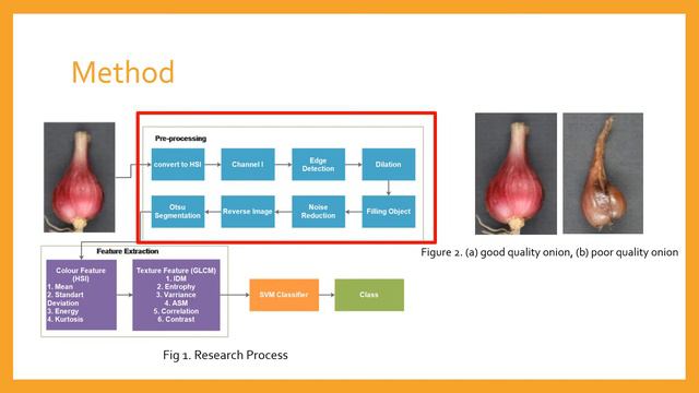 Identification Growth Quality of Red Onion during Planting Period using Support Vector Machine смотреть онлайн