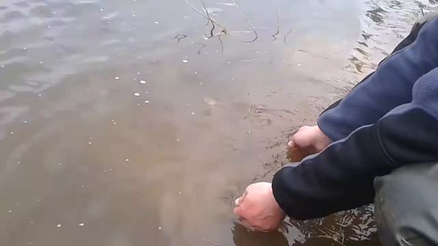 Щука в запрет смотреть онлайн