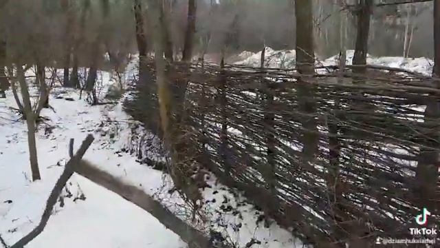 Стих про водителя. смотреть онлайн