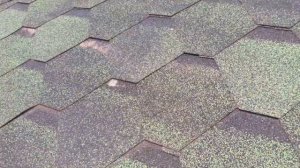 Битумная черепица ТЕХНОНИКОЛЬ. НЕ ПОКУПАЙТЕ НИ В КОЕМ СЛУЧАЕ!