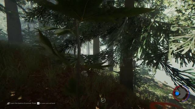 The Forest GTX1060 + Phenom II X4 925 смотреть онлайн