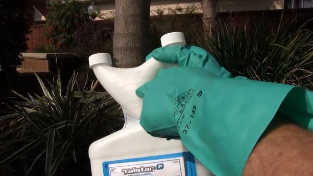 Talstar Pro Insecticide SolutionsStores.com