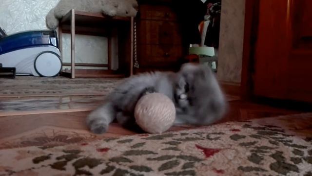 Моя Бусита девочка бонита или просто Бус смотреть онлайн