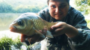 Рыбалка на фидер на притоке Дона реке Быстрая Сосна.