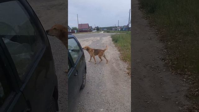 Охота отменяется. смотреть онлайн
