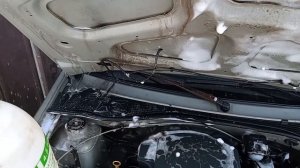 Помыл двигатель Renault Logan Рено Логан.
