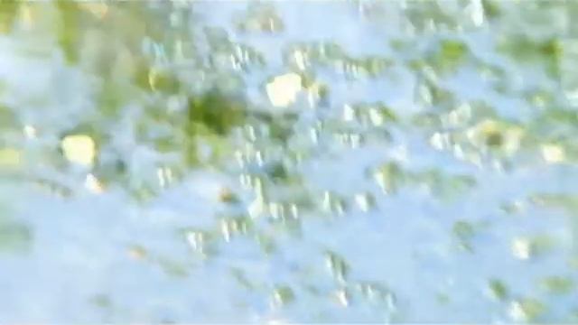 лягушачий пруд смотреть онлайн