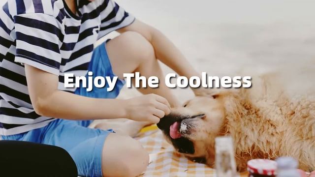 Zero Breeze Mark 2 air conditioner for family and pets смотреть онлайн