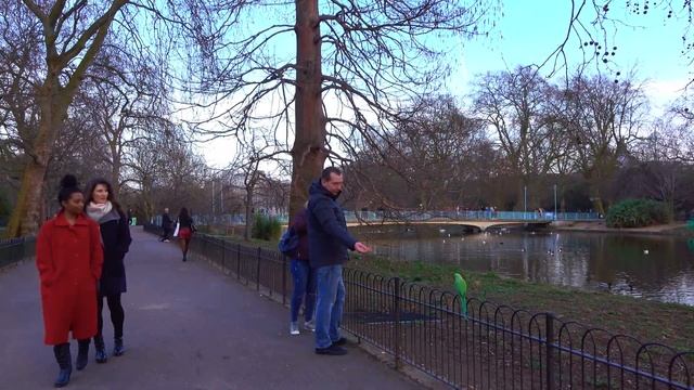 4K-HD London Green Park- St James's Park Walking Tour (Colourful Spring Flowers Blooming in London смотреть онлайн