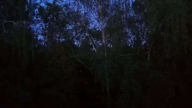 Бабайкеры (1 из 2). 08 июня 2020. смотреть онлайн