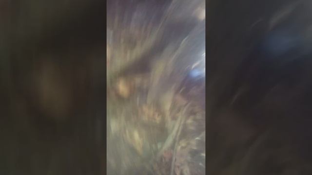 We hiked смотреть онлайн