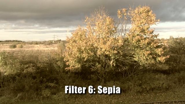 Canon XA10 Cinema Filter Modes (Raw Video Test) смотреть онлайн
