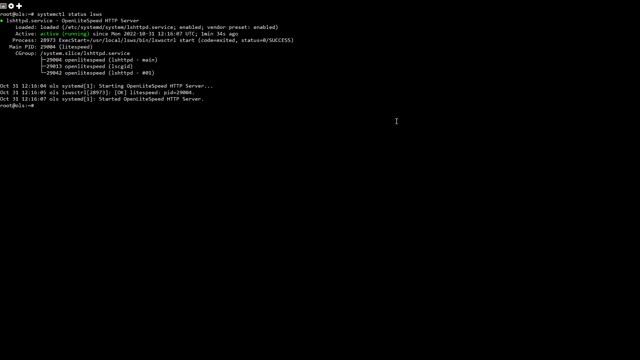 How To Install the OpenLiteSpeed Web Server on Ubuntu смотреть онлайн