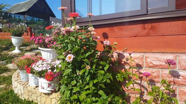 Как выглядит наша дача в сентябре смотреть онлайн