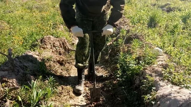 Как сажать лес"Лес победы""Посади своё дерево". Искусственное лесовосстановление. Меч Колесова. смотреть онлайн