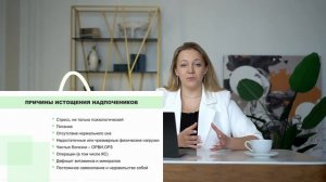 3. Надпочечники
