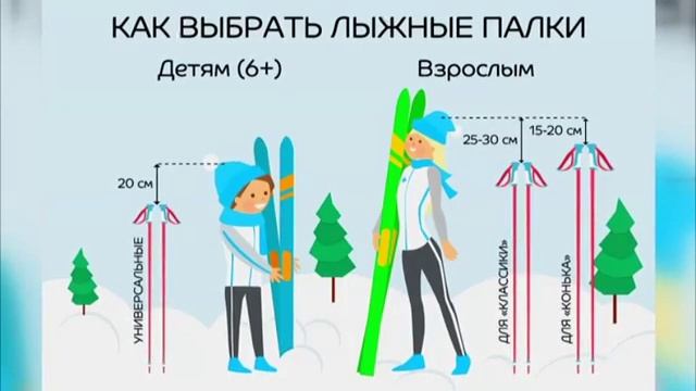 Мамина школа. Лыжный спорт смотреть онлайн