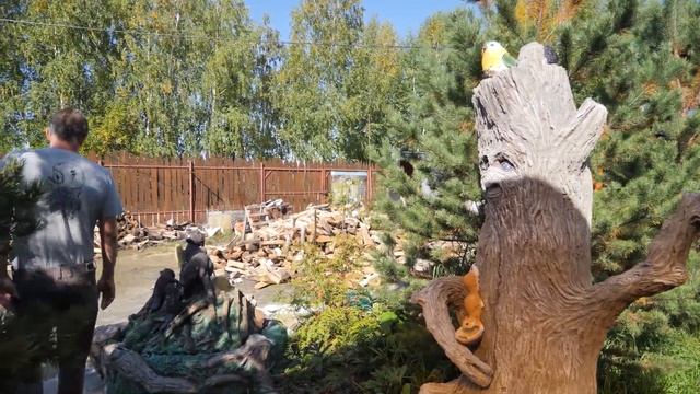 Обзор сада в деревенском стиле. Ландшафтный дизайн участка на 12 сотках. смотреть онлайн
