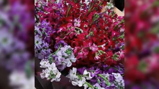 ХОРОШЕГО ДНЯ? смотреть онлайн