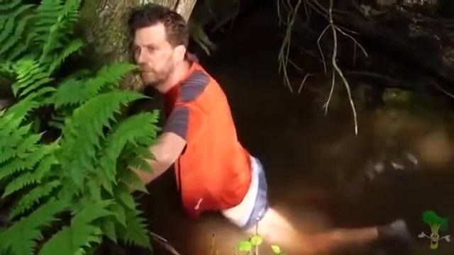 как ловить рыбу на хер? Необычный способ рыбалки без снастей #Shorts смотреть онлайн