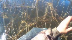 рыбалка на сети