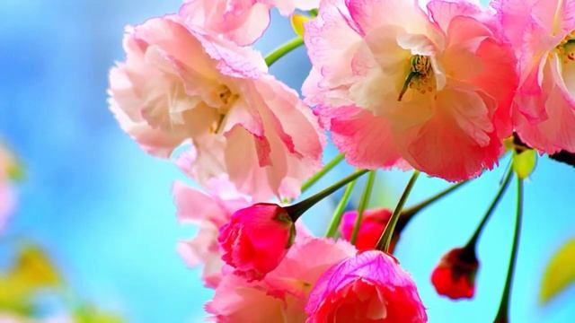 Музыка полезна для нервной и сердечно-сосудистой систем. (Sergey Grischuk Music)