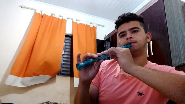 Eu Sei De Cor - Marília Mendonça - flauta doce - Com Nota смотреть онлайн