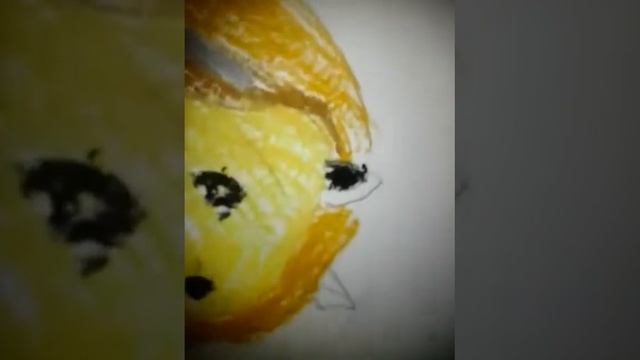 Как нарисовать хомяка часть 2 смотреть онлайн