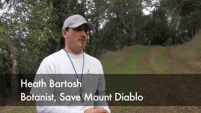 Save Mount Diablo Inspects Wilderness For Sale смотреть онлайн