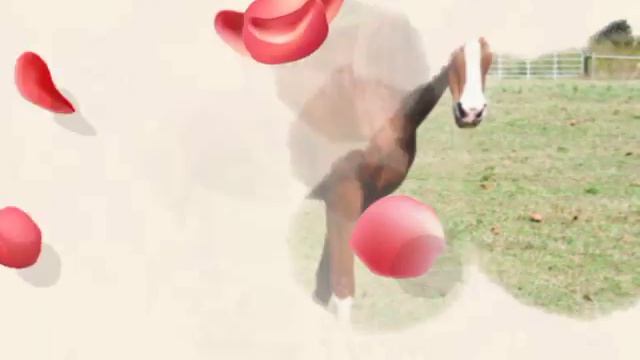 Килиб. Тачик смотреть онлайн