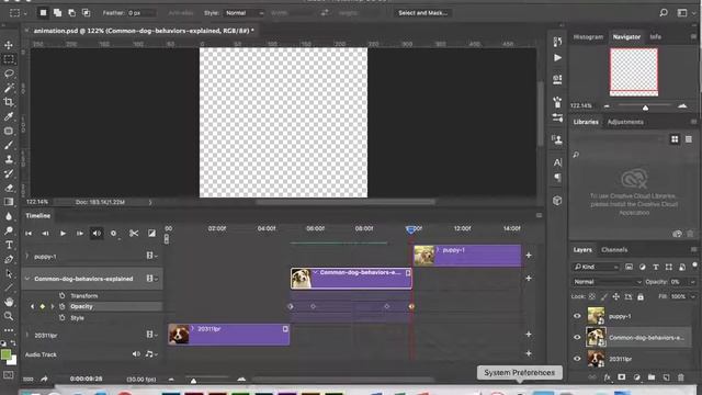 Adobe Photoshop CC - Adding Opacity to a GIF file смотреть онлайн